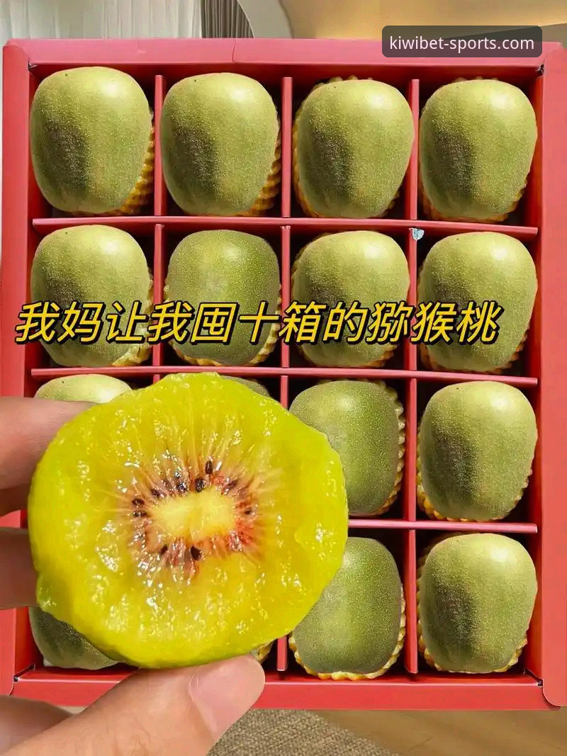 奇异果体育功能最新版 奇异果体育功能最新版深度评测:实战派角度解析新版特性与安全指南